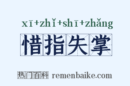 惜指失掌是什么意思的图片